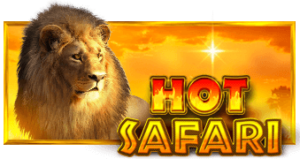 Hot Safari