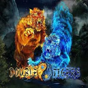 Double Tigers