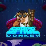 Space Donkey