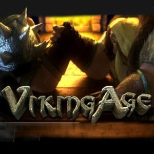 Viking Age