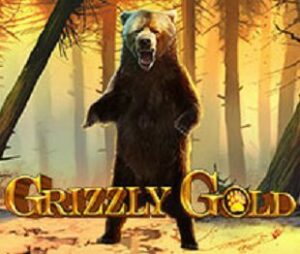 Grizzly gold
