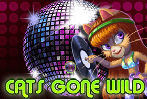 Cats Gone Wild