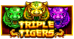 Triple Tigers