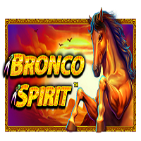 Bronco Spirit